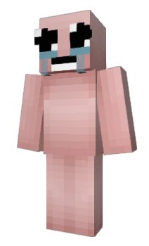 Minecraft skin boifan