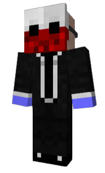 Minecraft skin DNSJ