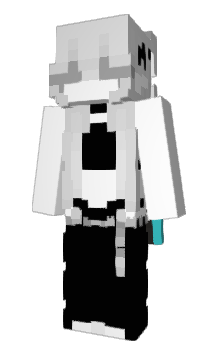 Minecraft skin IsItCam