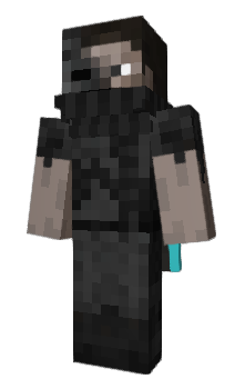 Minecraft skin IsItCam