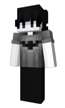 Minecraft skin repet