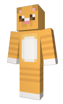 Minecraft skin SDup