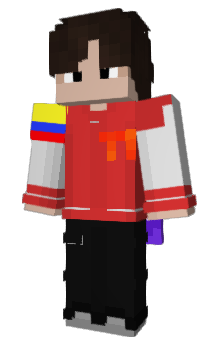 Minecraft skin HikaruKari