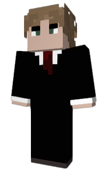 Minecraft скін по ніку WellCheckedd