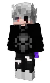 Minecraft skin zd3m