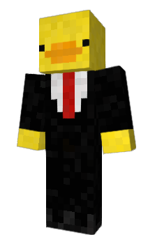 Minecraft skin picofn