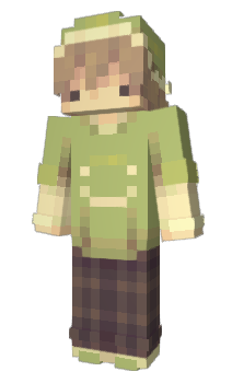 Minecraft skin 8743