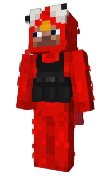 Minecraft skin dgsui