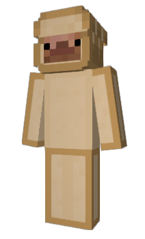 Minecraft skin 3w45