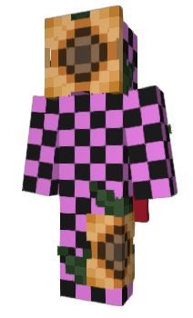 Minecraft skin Sndn00ds