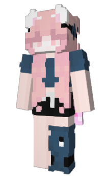 Minecraft skin sdfr