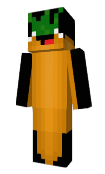 Minecraft skin MrCarrit