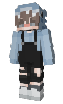 Minecraft skin sh5rk