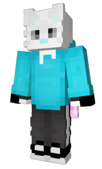 Minecraft skin RaidcatOfficial