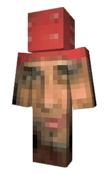 skin meme  Minecraft Skins