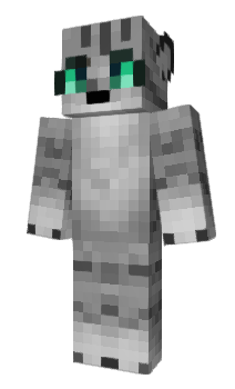 Minecraft skin Secado