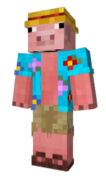 Minecraft skin DWDD