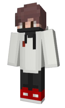 Minecraft skin Aquisi