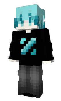 Minecraft skin pctg