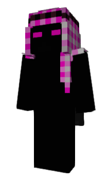 Minecraft skin WSAM
