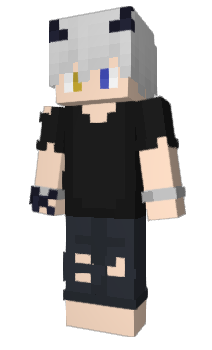 Minecraft skin King_work