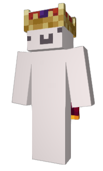 Minecraft skin qPoland