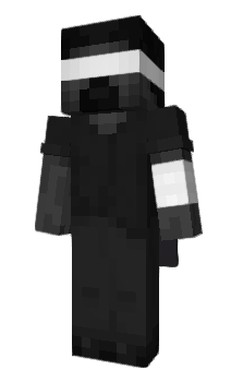 Minecraft скин по нику wordwall