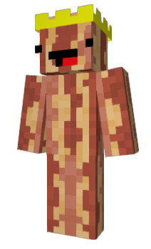 Minecraft skin iokio