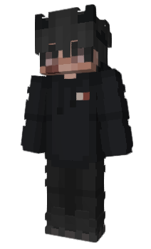 Minecraft skin volando