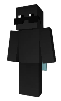 Minecraft skin zLqe