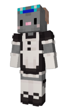 Minecraft skin Pomne