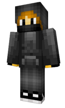 Minecraft skin ModelType