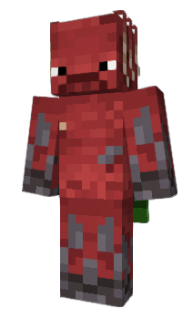 Minecraft skin Barsik11