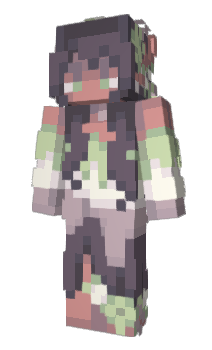 Minecraft skin wndz