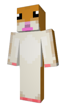 Minecraft skin hamilto