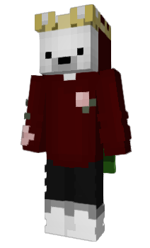 Minecraft skin iyr