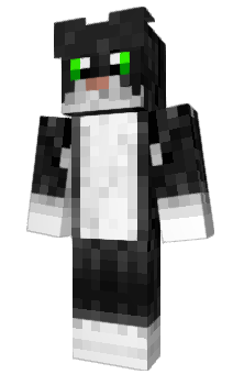 Minecraft скін по ніку Regisse