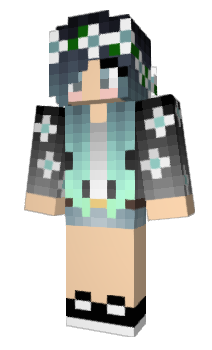 Minecraft skin SMDJ