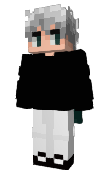 Minecraft skin HVZR