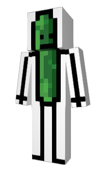 Minecraft skin picklel