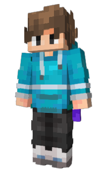 Minecraft skin Metricate