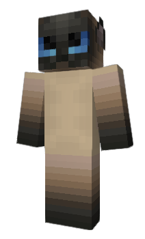 Minecraft skin evrr