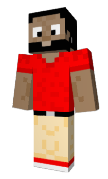 Minecraft skin picass0