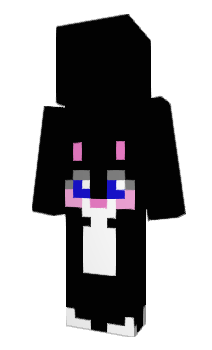 Minecraft скін по ніку seyll