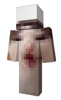 Minecraft skin p0n4lk