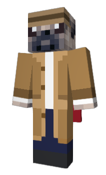 Minecraft skin Randonly