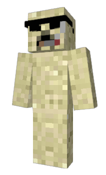 Minecraft skin S6nny