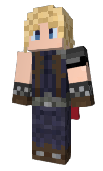 Minecraft skin navickas