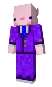 Minecraft skin RokiLotl