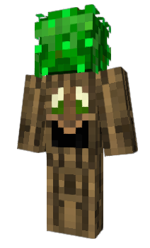 Minecraft скин по нику Spinana